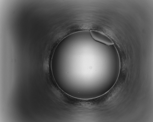 X0000090410681200707201101