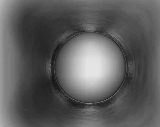 X0000090410682200707201100