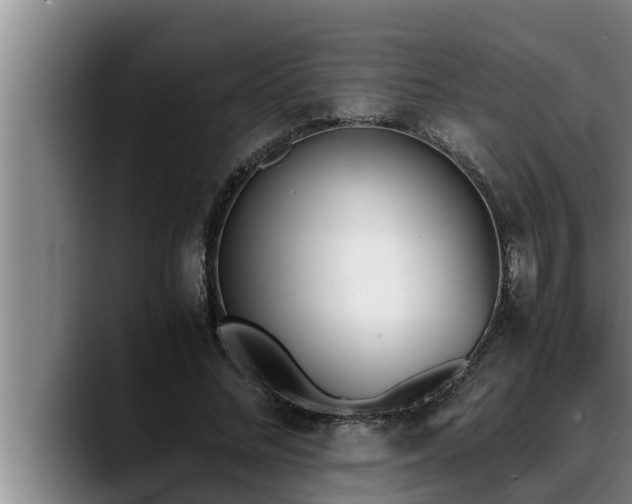X0000090410684200707201100