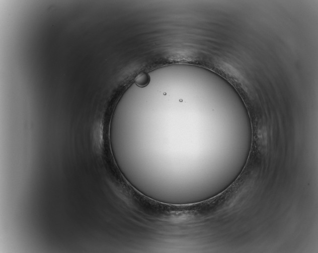 X0000090410686200707201100