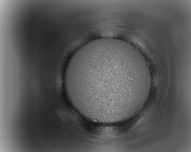 X0000090410687200707201100