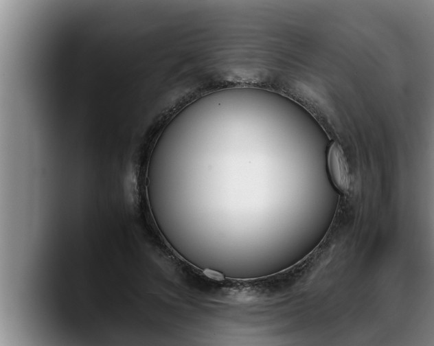X0000090410688200707201100
