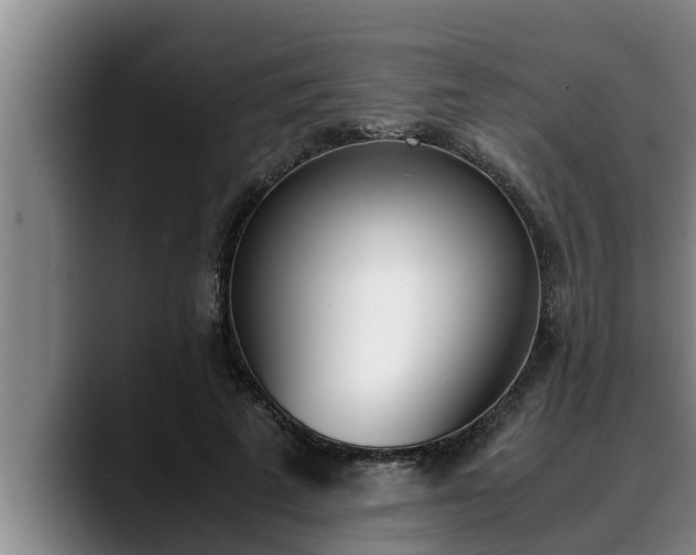 X0000090410689200707201100