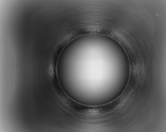 X0000090410692200707201100