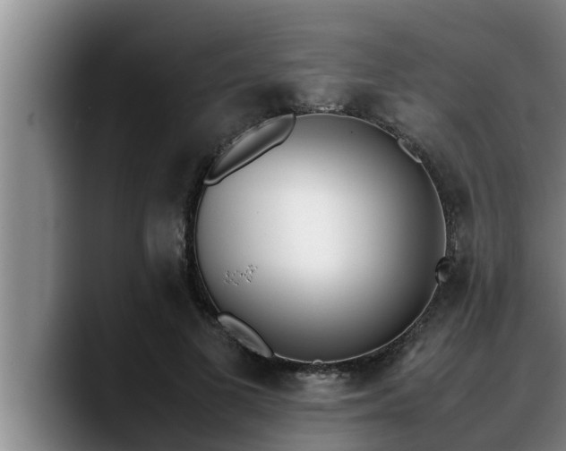 X0000090410693200707201100