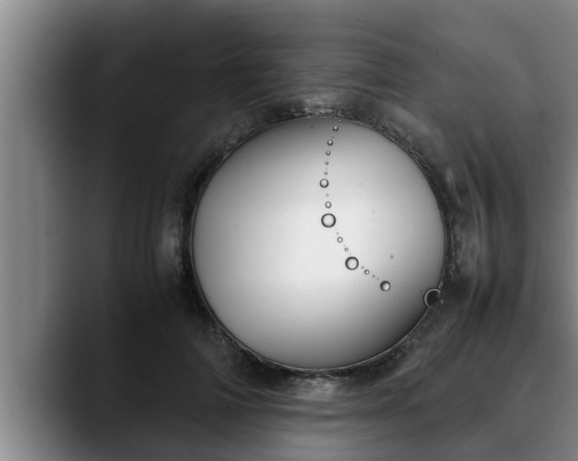 X0000090410698200707201100