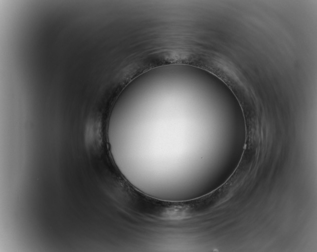 X0000090410700200707201100