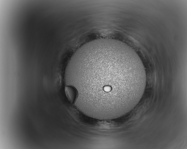 X0000090410703200707201100