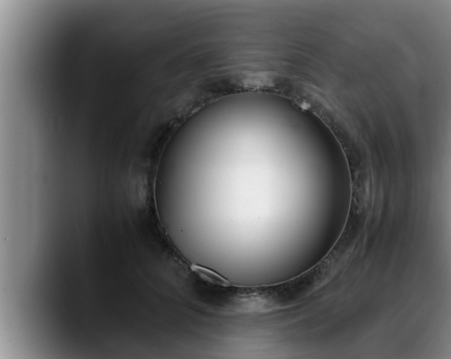 X0000090410704200707201100