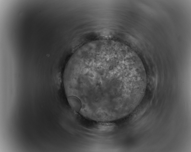 X0000090410707200707201100