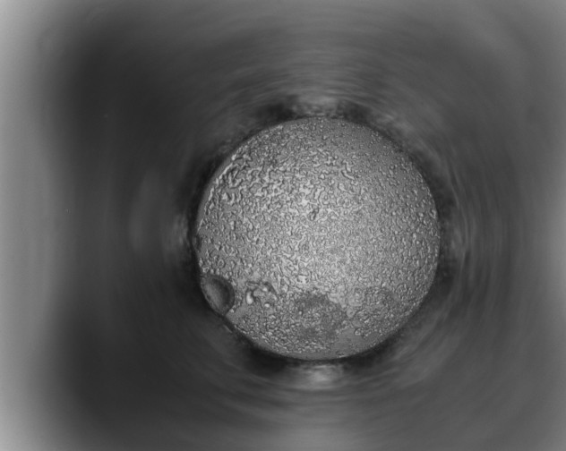 X0000090410711200707201100