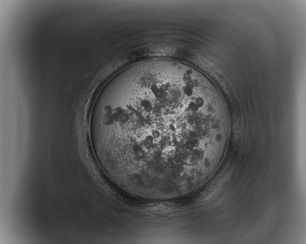 X0000090410721200707201059