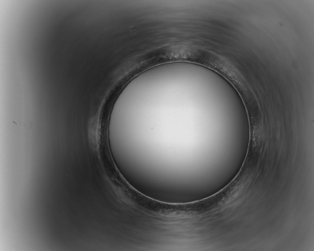 X0000090410722200707201100