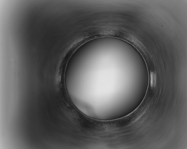 X0000090410723200707201100