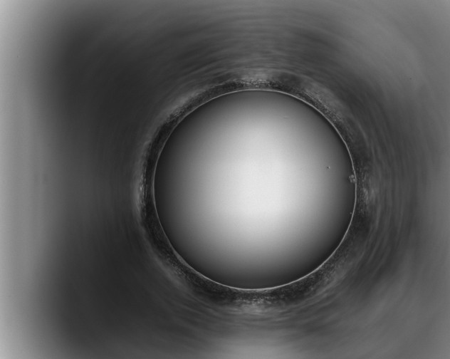 X0000090410728200707201100