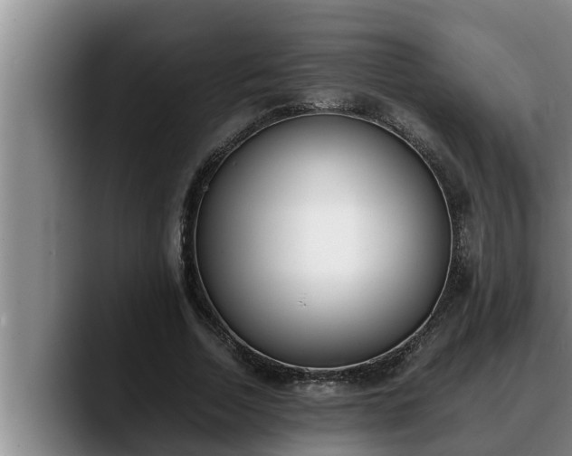 X0000090410730200707201100