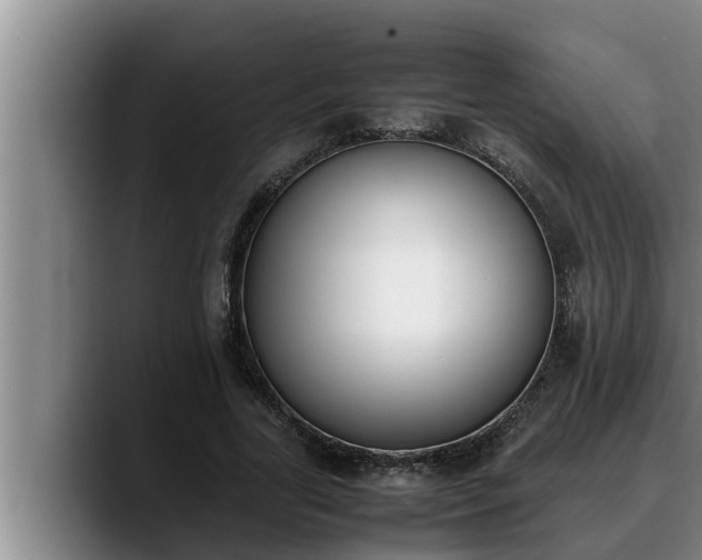 X0000090410731200707201100