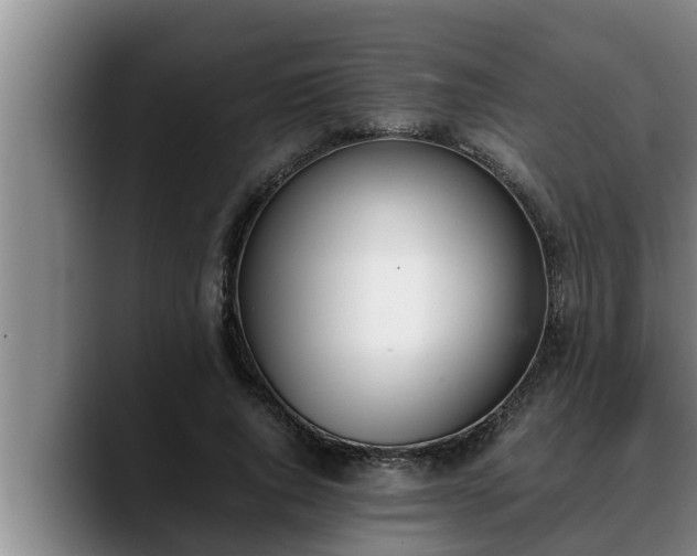 X0000090410736200707201100