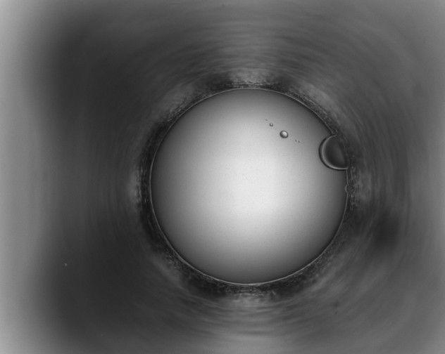 X0000090410738200707201100