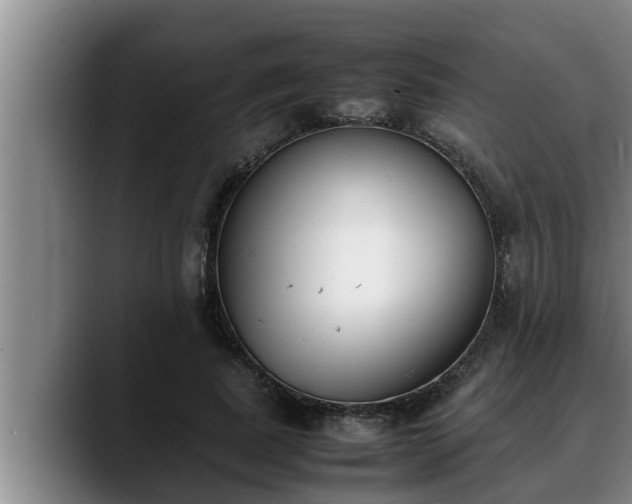 X0000090410739200707201100