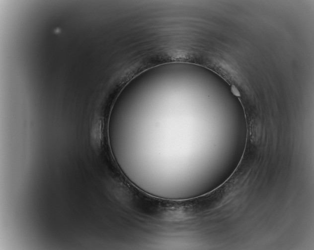 X0000090410740200707201100