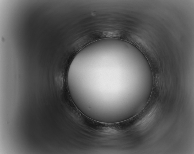 X0000090410741200707201100