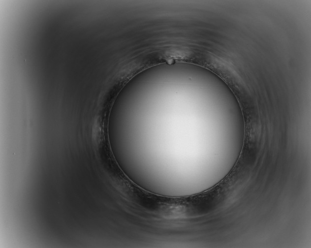 X0000090410743200707201100
