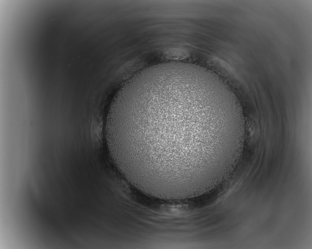 X0000090410745200707201100