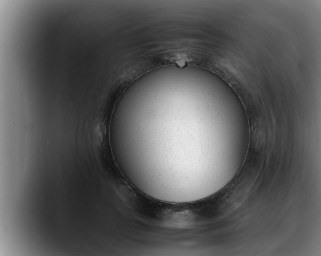 X0000090410747200707201100