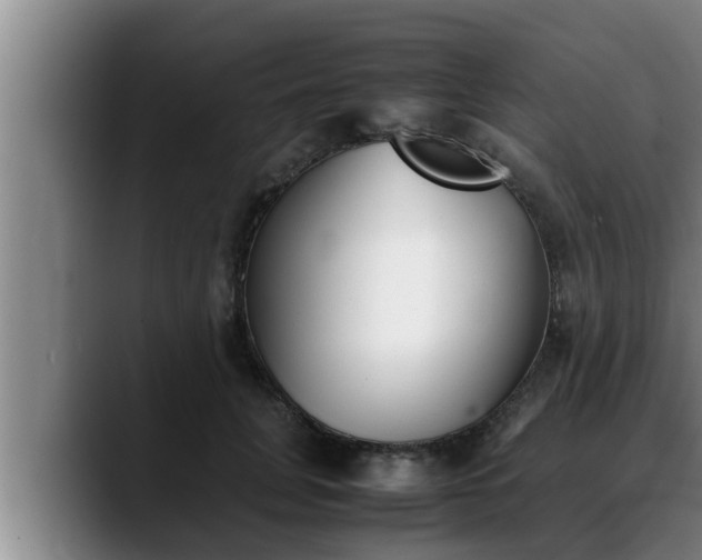 X0000090410751200707201100