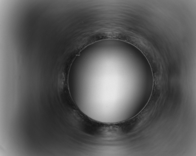 X0000090410752200707201100