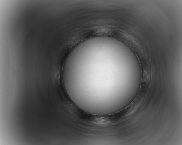 X0000090410753200707201100
