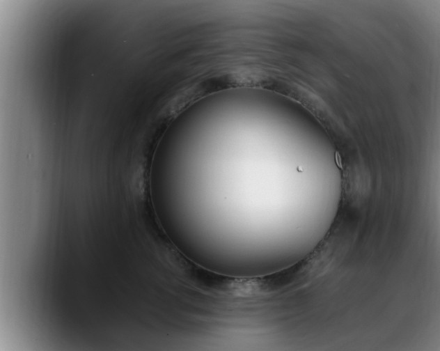 X0000090410762200707201100