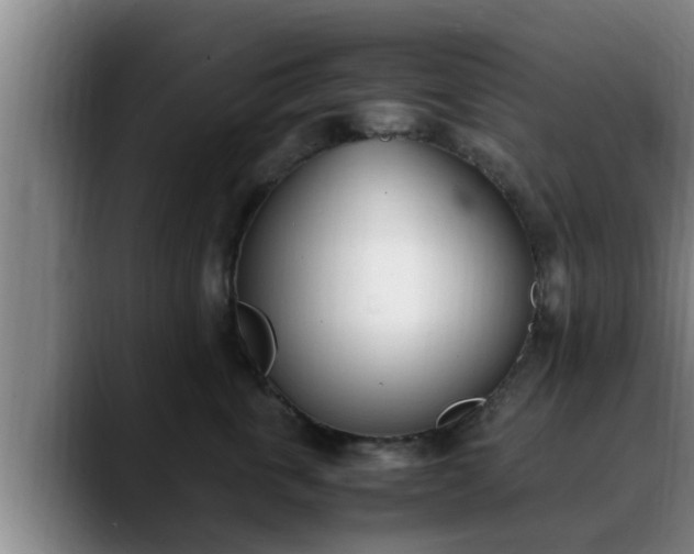 X0000090410763200707201100