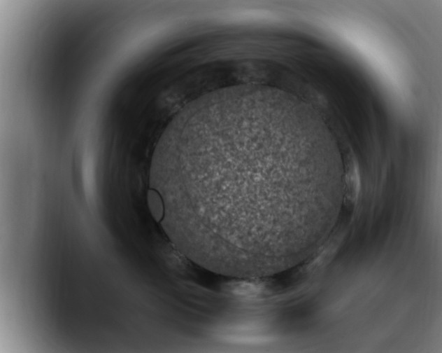 X0000090410765200707201100