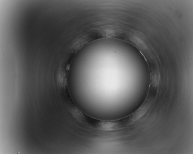 X0000090410766200707201100