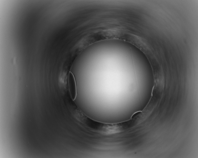 X0000090410767200707201100
