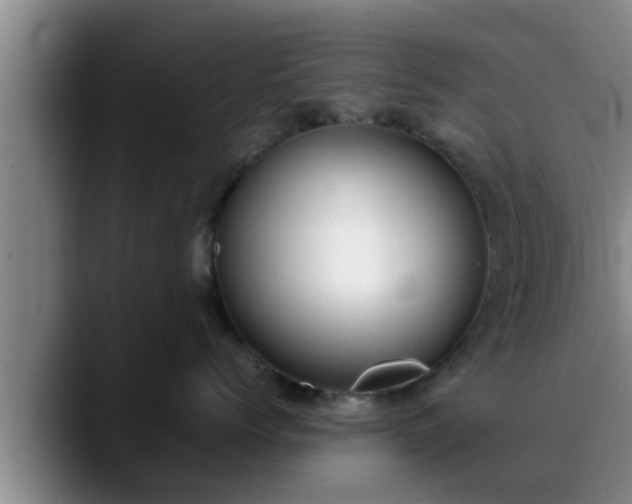 X0000090410768200707201100