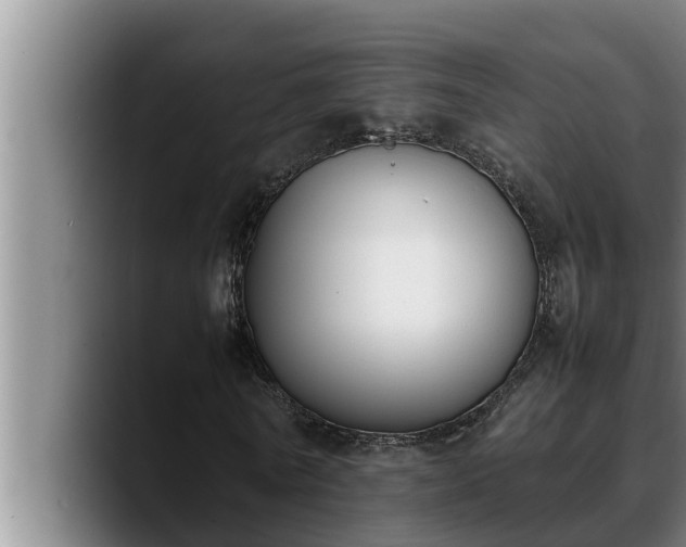 X0000090410770200707201059