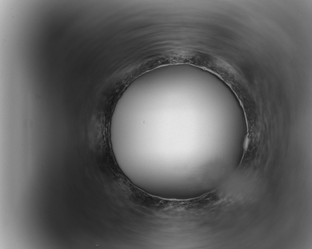 X0000090410773200707201059