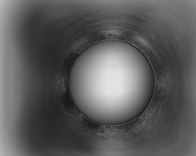 X0000090410774200707201059