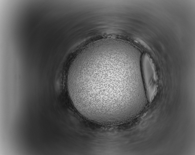 X0000090410775200707201059