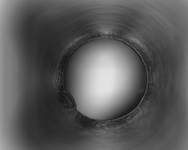 X0000090410776200707201059
