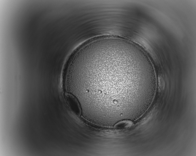 X0000090410780200707201059
