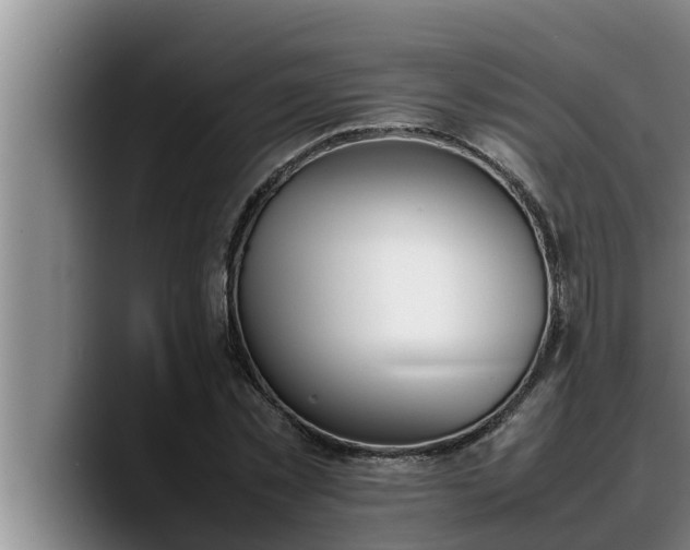 X0000090410781200707201059