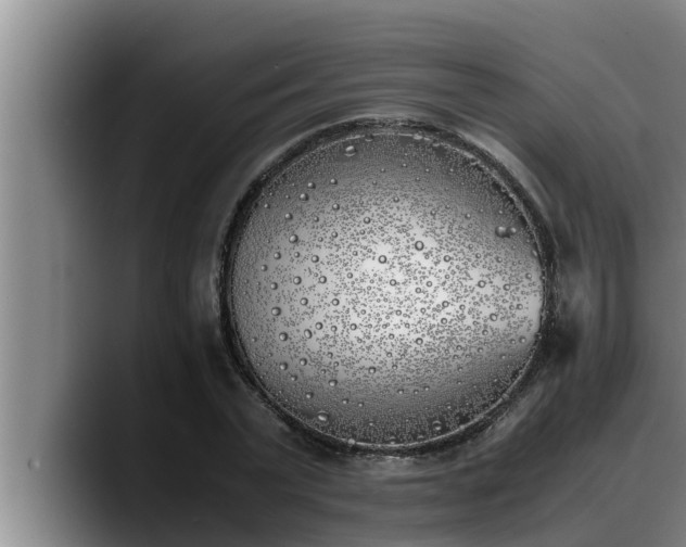 X0000090410783200707201059