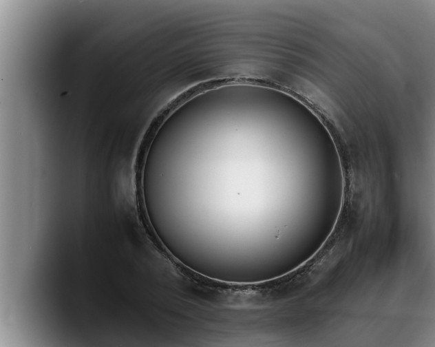 X0000090410784200707201059