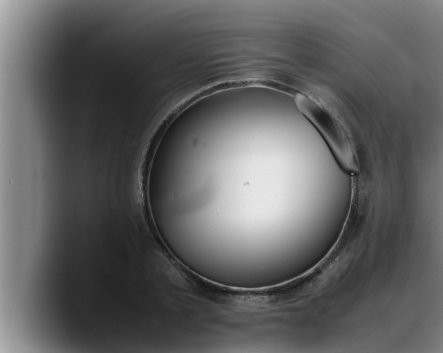 X0000090410789200707201059