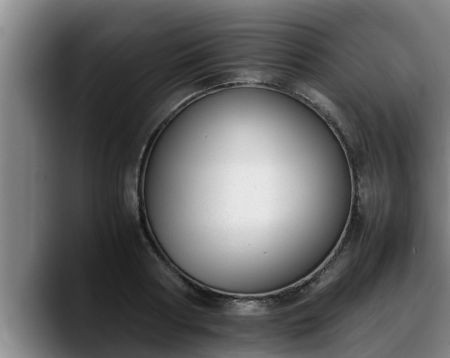 X0000090410794200707201059