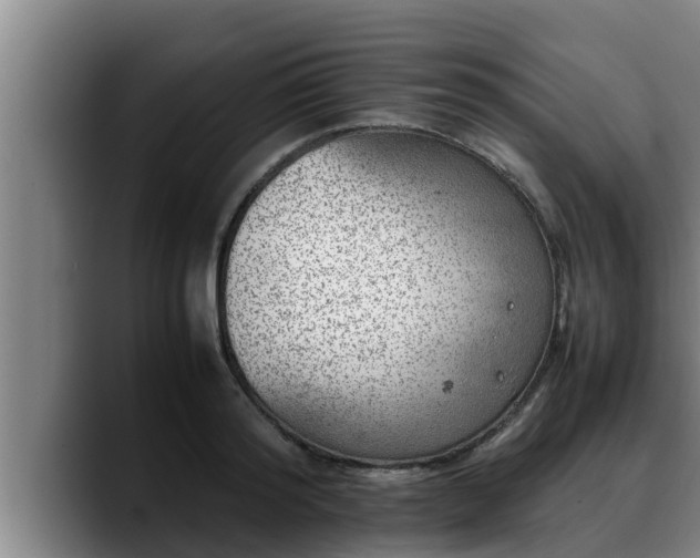 X0000090410796200707201059